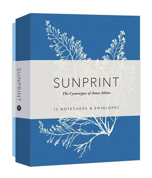 The Sunprint Notecard Set