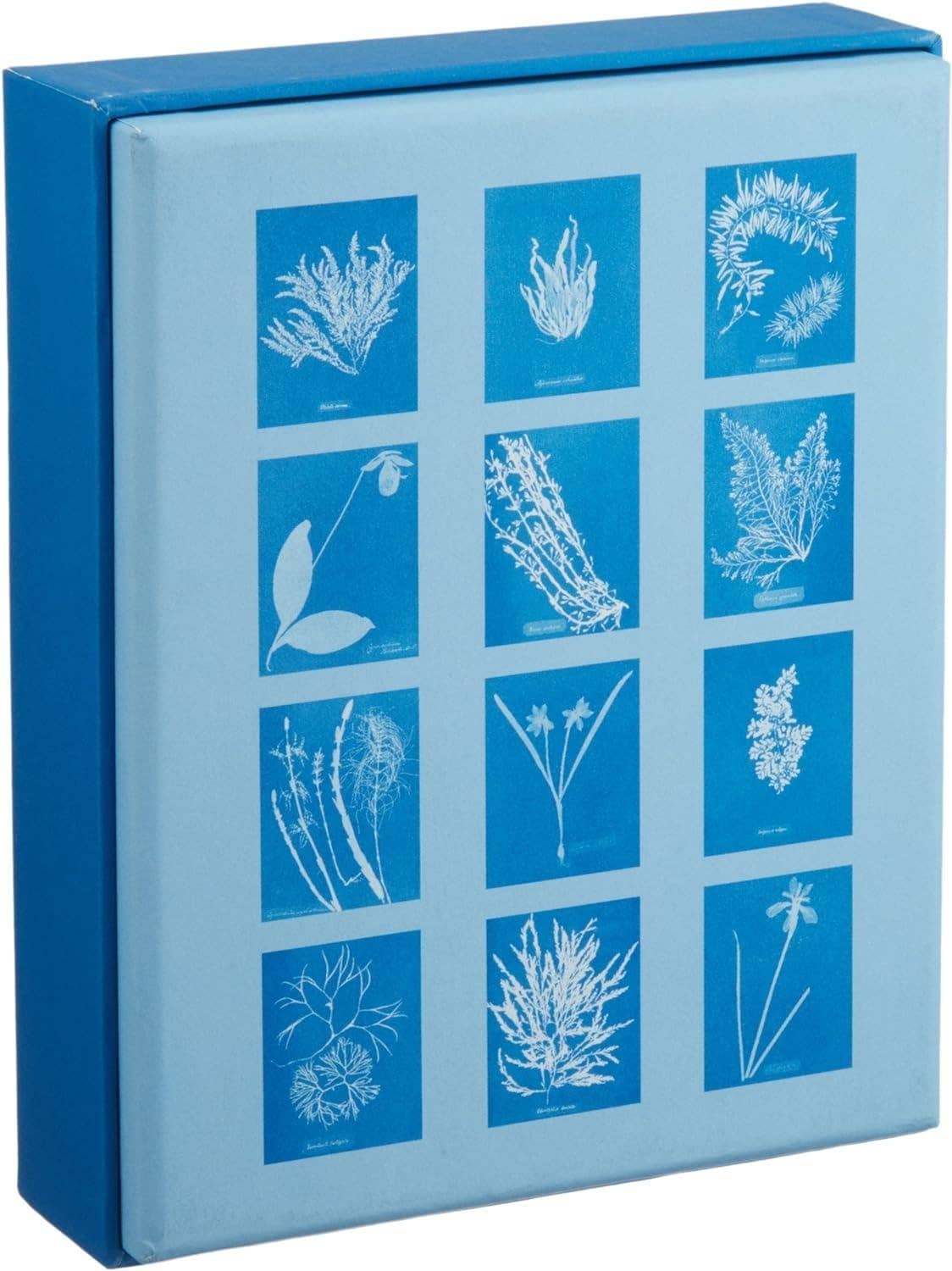 The Sunprint Notecard Set