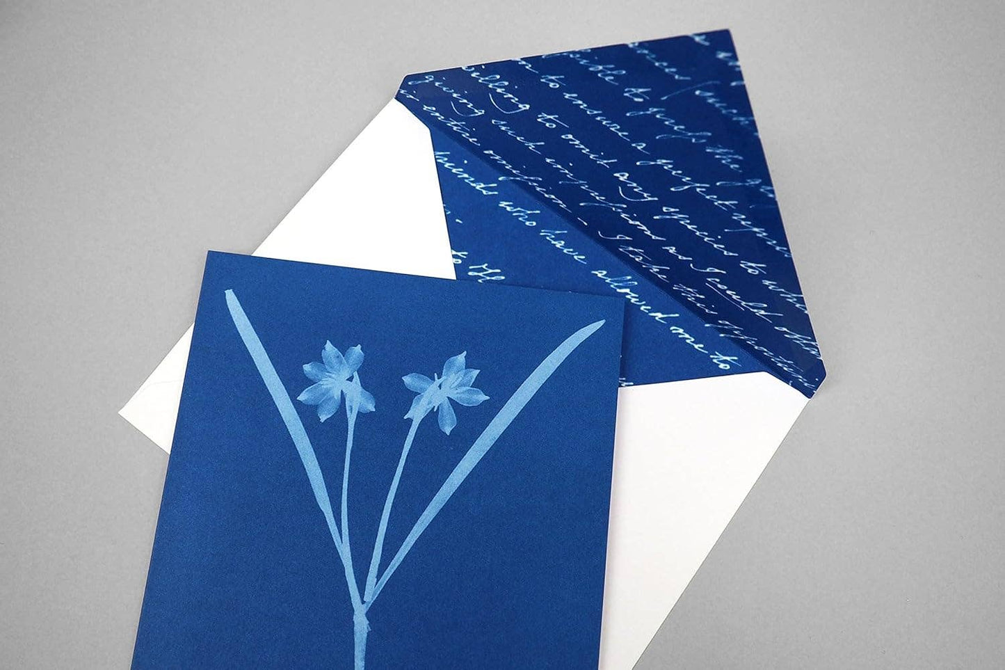 The Sunprint Notecard Set