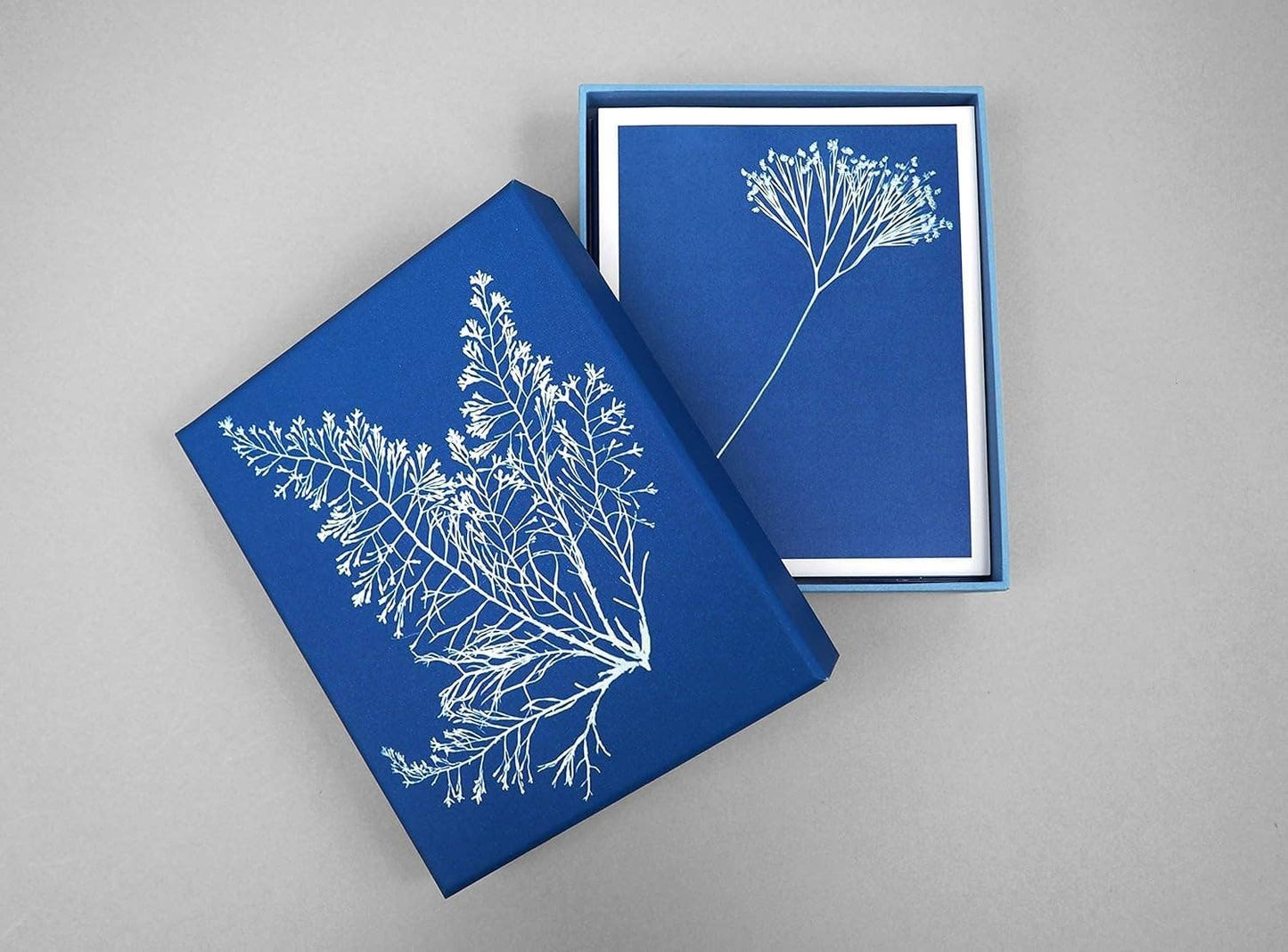 The Sunprint Notecard Set