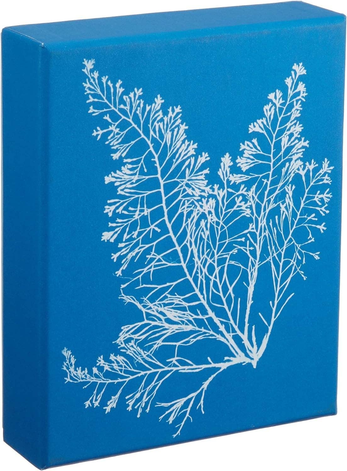 The Sunprint Notecard Set